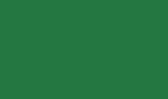u155-zielony-unikolor